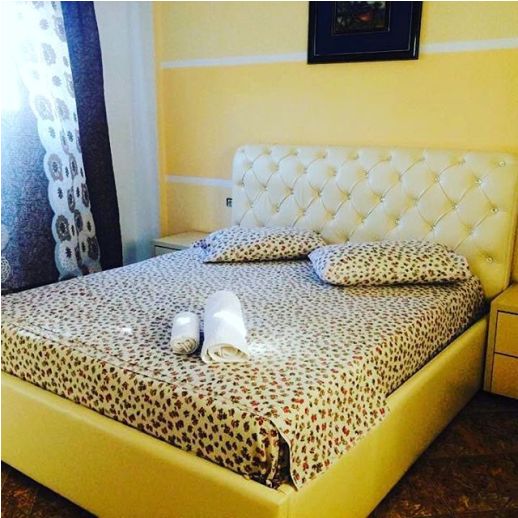 0000000000000000000.napolon 12